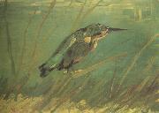 The Kingfishe (nn04)